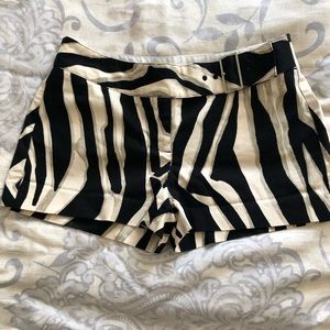 Express zebra editor size 2 shorts